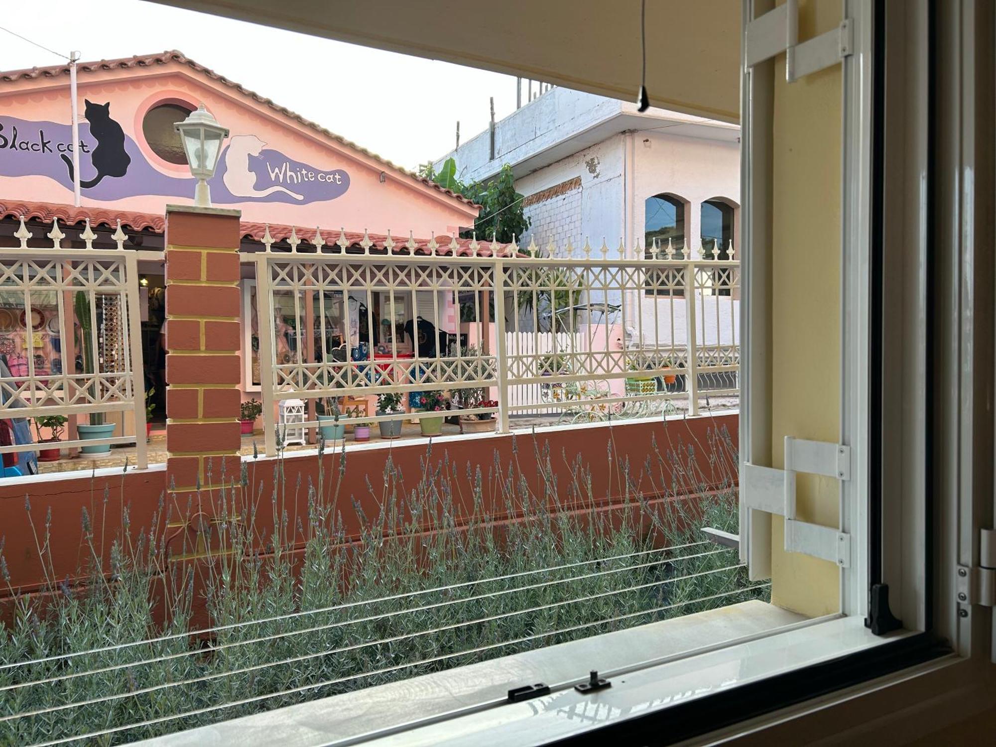 Brati II Beach Hotel أركودي المظهر الخارجي الصورة